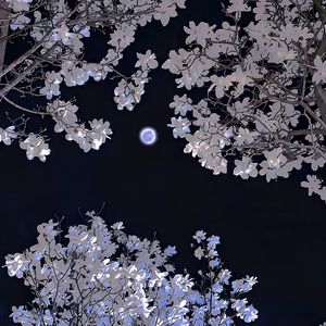 缅甸家庭乱伦图片成视频
